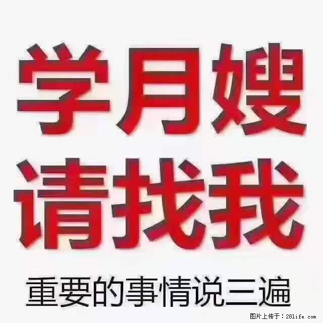 为什么要学习月嫂,育婴师? - 新手上路 - 宜昌生活社区 - 宜昌28生活网 yc.28life.com