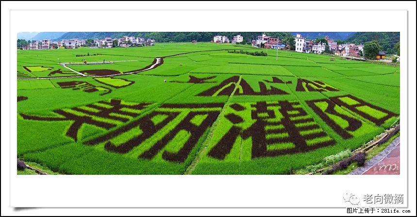 【春天,广西桂林灌阳县向您发出邀请!】开篇 - 游山玩水 - 宜昌生活社区 - 宜昌28生活网 yc.28life.com