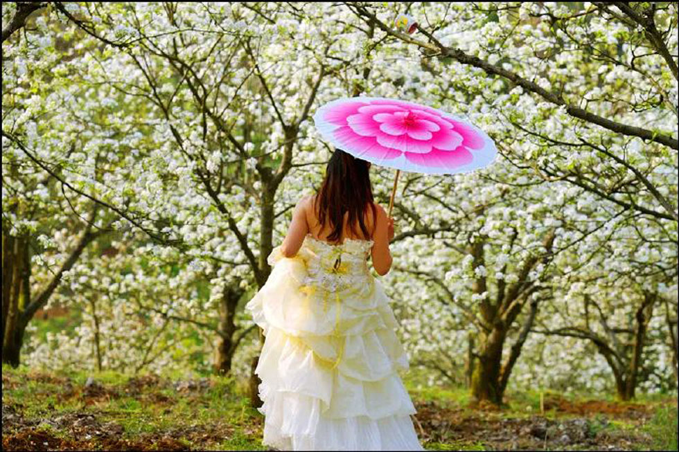 【春天,广西桂林灌阳县向您发出邀请!】我们在灌阳看梨花 - 游山玩水 - 宜昌生活社区 - 宜昌28生活网 yc.28life.com