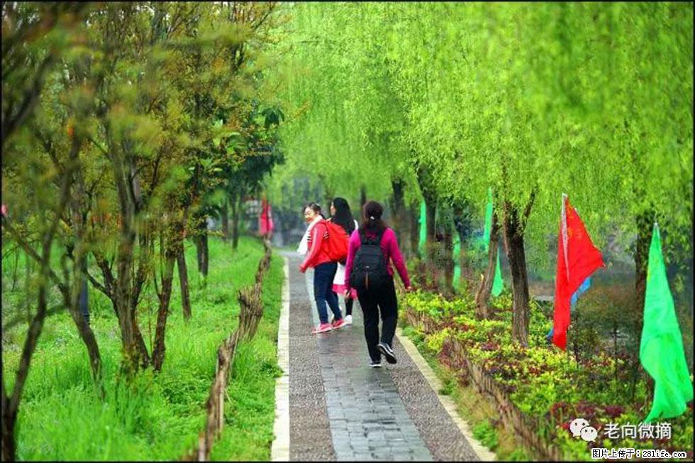 【春天，广西桂林灌阳县向您发出邀请！】江口老街又逢春 - 游山玩水 - 宜昌生活社区 - 宜昌28生活网 yc.28life.com