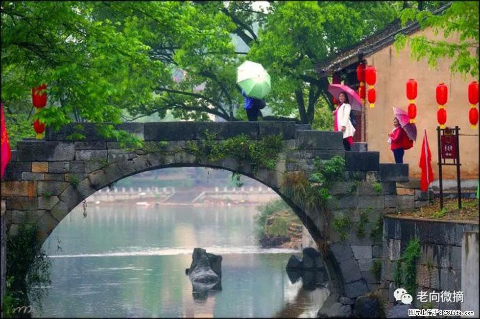 【春天，广西桂林灌阳县向您发出邀请！】江口老街又逢春 - 游山玩水 - 宜昌生活社区 - 宜昌28生活网 yc.28life.com