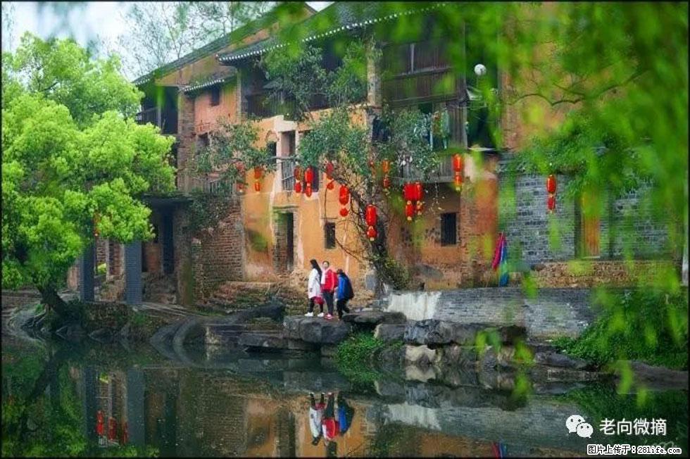 【春天，广西桂林灌阳县向您发出邀请！】江口老街又逢春 - 游山玩水 - 宜昌生活社区 - 宜昌28生活网 yc.28life.com