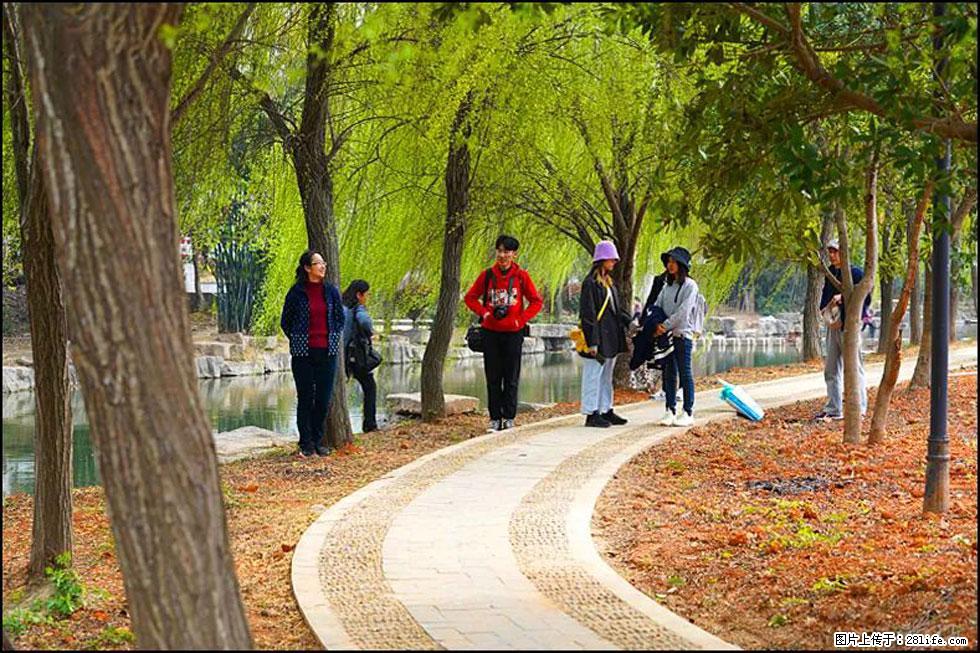 【春天，广西桂林灌阳县向您发出邀请！】江口老街又逢春 - 游山玩水 - 宜昌生活社区 - 宜昌28生活网 yc.28life.com