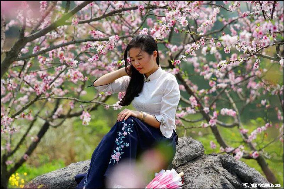 【春天,广西桂林灌阳县向您发出邀请!】望月岭上桃花开 - 游山玩水 - 宜昌生活社区 - 宜昌28生活网 yc.28life.com