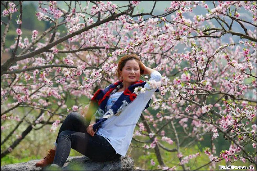 【春天,广西桂林灌阳县向您发出邀请!】望月岭上桃花开 - 游山玩水 - 宜昌生活社区 - 宜昌28生活网 yc.28life.com