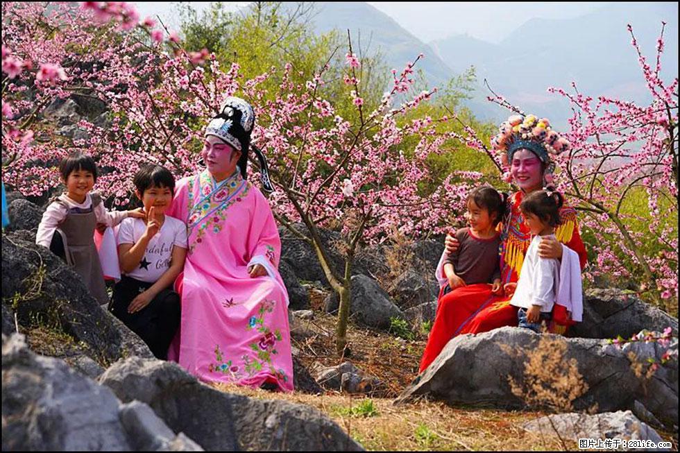 【春天,广西桂林灌阳县向您发出邀请!】望月岭上桃花开 - 游山玩水 - 宜昌生活社区 - 宜昌28生活网 yc.28life.com