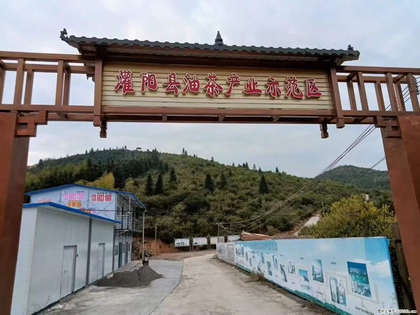 【灌阳县油茶产业示范区】一个有着充实的精神生活的人，对待身外之物自会有一种淡泊的态度 - 美食天地 - 宜昌生活社区 - 宜昌28生活网 yc.28life.com