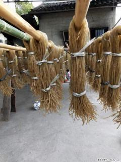 【灌阳正宗红薯粉】美女家里自己做的，干净卫生，假一赔十，价格合理，抢购电话：13737312895 - 宜昌28生活网 yc.28life.com