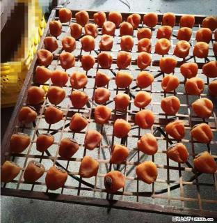 广西桂林平乐桥亭【柿饼之乡】2025年纯手工制作、无任何添加剂的第一批柿饼准备上市了，欢迎联系订购！ - 宜昌28生活网 yc.28life.com