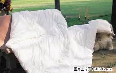 被子有异味？只要这样做，比晒太阳还强100倍！ - 家居生活 - 宜昌生活社区 - 宜昌28生活网 yc.28life.com