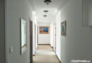 (单间出租)东辰心语 精装单间 冬日里的阳光 温馨又暖心 押1付3随时看 - 宜昌28生活网 yc.28life.com