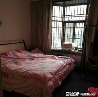 不收中介费 免费信息 价格面议精装修 家具家电齐全拎包即住 - 宜昌28生活网 yc.28life.com