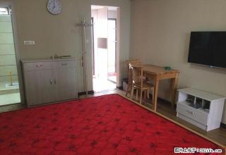 新房急租》紫晶城铂锐 精装 家电全新 包宽带有线 拎包入住 - 宜昌28生活网 yc.28life.com