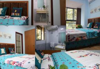 (单间出租)凯旋名门一室一厅一卫 全新装饰 温馨小窝 不用拎包直接入住 - 宜昌28生活网 yc.28life.com