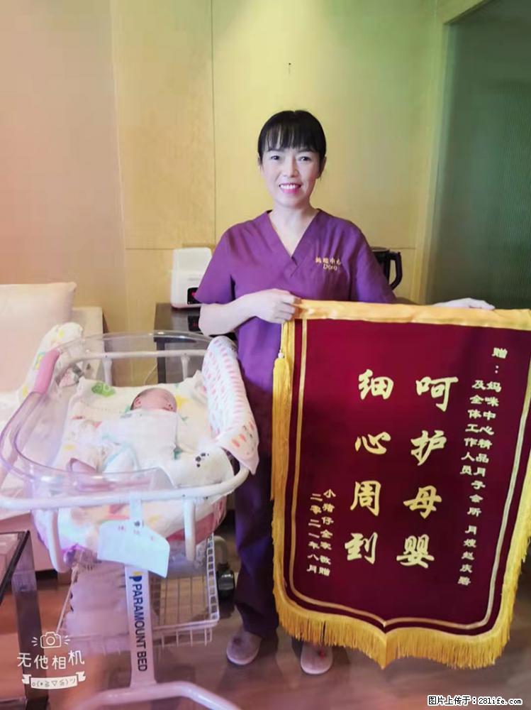 上海高端月子会所招新手月嫂，零基础带教，包吃住 - 职场交流 - 宜昌生活社区 - 宜昌28生活网 yc.28life.com