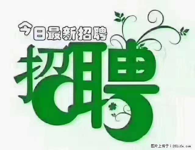 【招聘】产康师 - 职场交流 - 宜昌生活社区 - 宜昌28生活网 yc.28life.com