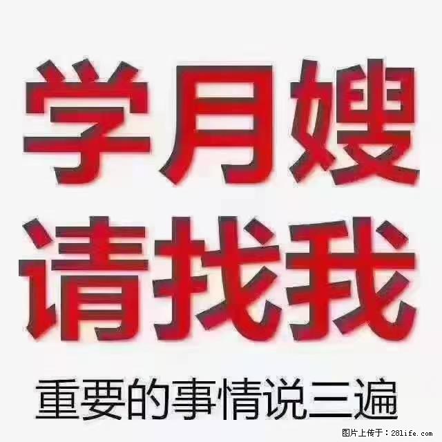 【招聘】月嫂，上海徐汇区 - 职场交流 - 宜昌生活社区 - 宜昌28生活网 yc.28life.com