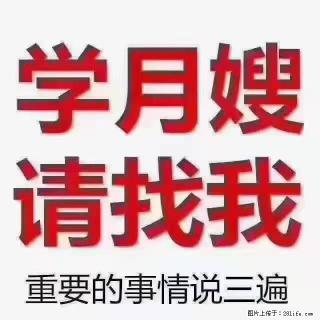 【招聘】月嫂，上海徐汇区 - 宜昌28生活网 yc.28life.com