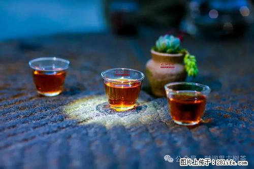 时间果百年古树2025年春红茶 - 购物交流 - 宜昌生活社区 - 宜昌28生活网 yc.28life.com