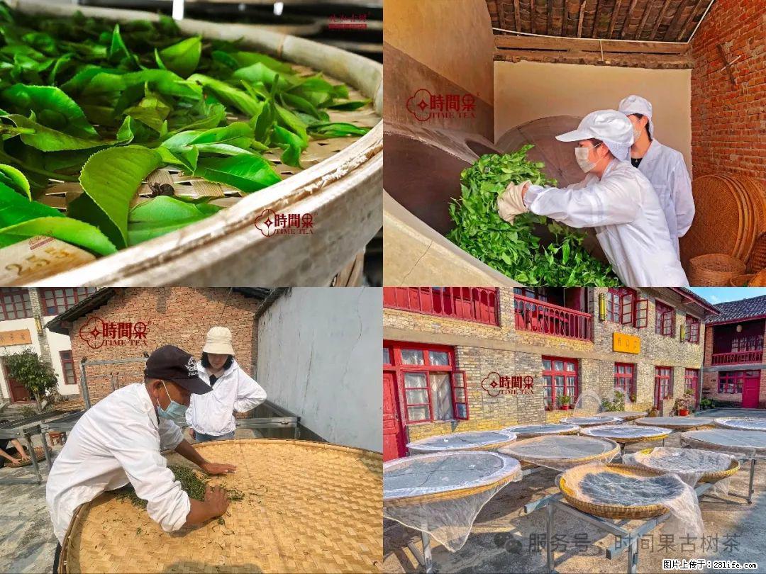 时间果百年古树龙珠普洱生茶 - 购物交流 - 宜昌生活社区 - 宜昌28生活网 yc.28life.com