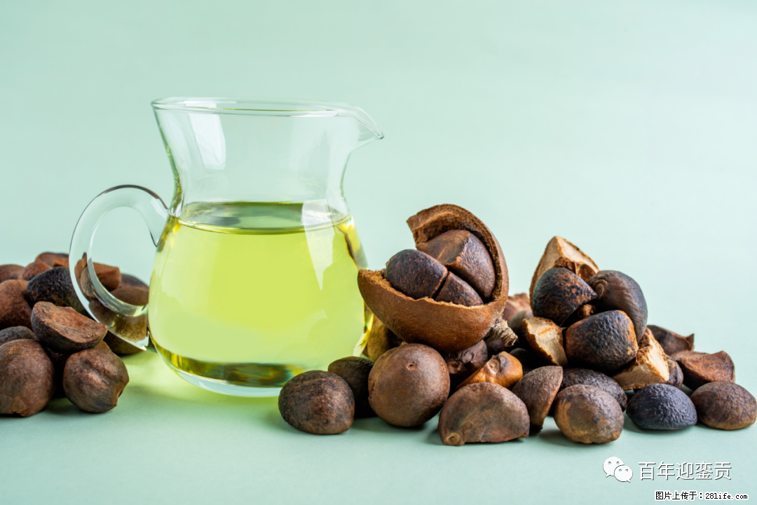 揭秘茶油的5大核心营养成分！被称为人体健康的“守护盾”！ - 宜昌生活资讯 - 宜昌28生活网 yc.28life.com