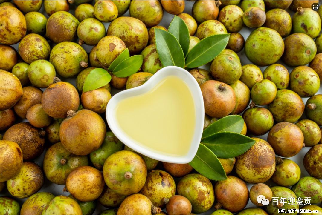 世界没有真相，只有认知，最好的食用油是中国的山茶油！ - 宜昌生活资讯 - 宜昌28生活网 yc.28life.com