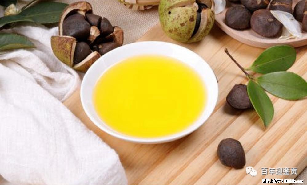 世界没有真相，只有认知，最好的食用油是中国的山茶油！ - 宜昌生活资讯 - 宜昌28生活网 yc.28life.com