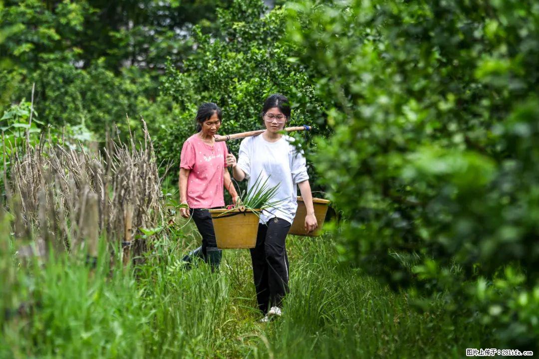 全网追的“扁担女孩”，找了一份暑假工，时薪12元 - 宜昌生活资讯 - 宜昌28生活网 yc.28life.com