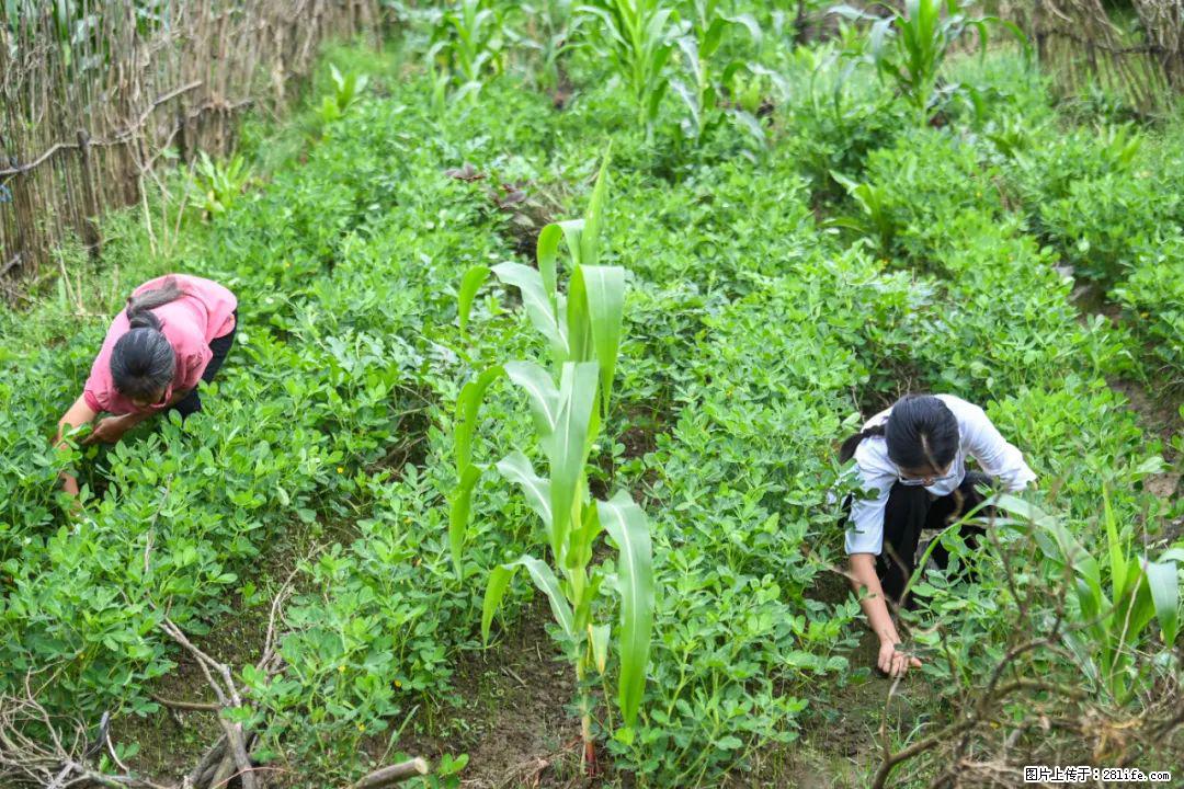 全网追的“扁担女孩”，找了一份暑假工，时薪12元 - 宜昌生活资讯 - 宜昌28生活网 yc.28life.com