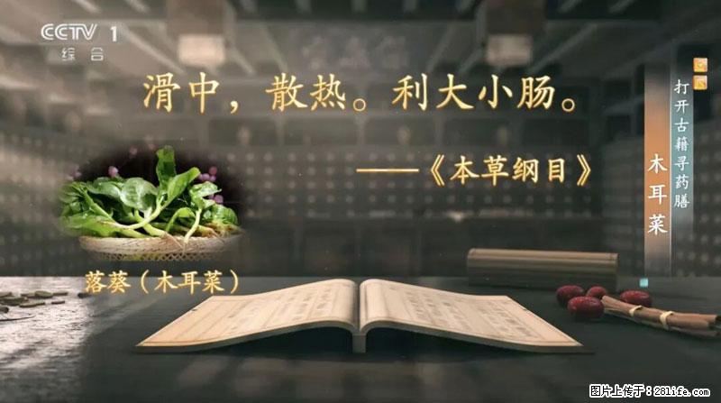 比牛奶补钙还厉害!凉血解毒、稳血糖...这菜冬天必吃,很多人却当草 - 宜昌生活资讯 - 宜昌28生活网 yc.28life.com