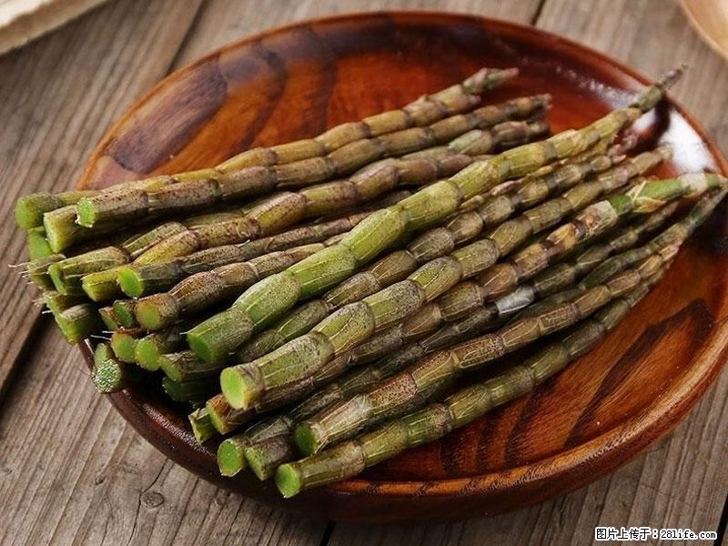 铁皮石斛的作用与功能主治 - 宜昌生活资讯 - 宜昌28生活网 yc.28life.com
