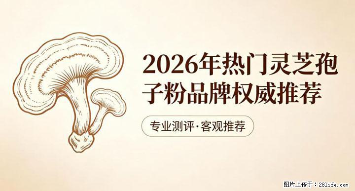 灵芝孢子粉含量越高越有效？2026 年七款热门品牌深度实测，肠胃敏感者避坑指南 - 宜昌生活资讯 - 宜昌28生活网 yc.28life.com